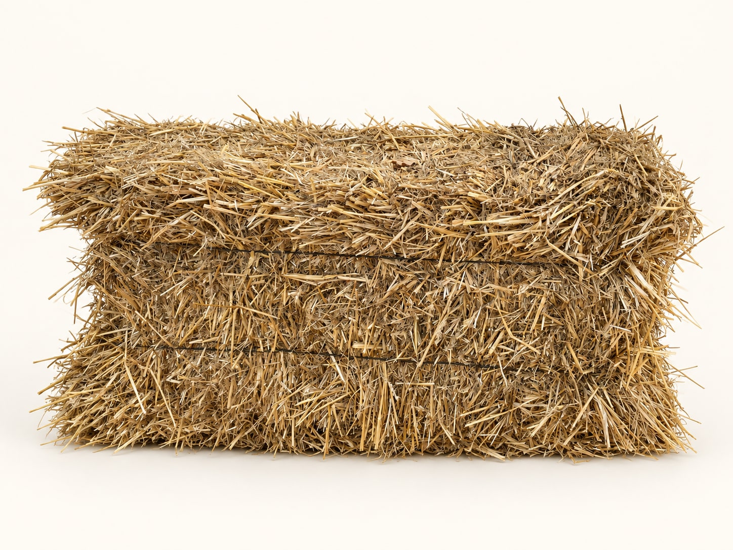 One rectangular hay bale on a clean ivory background