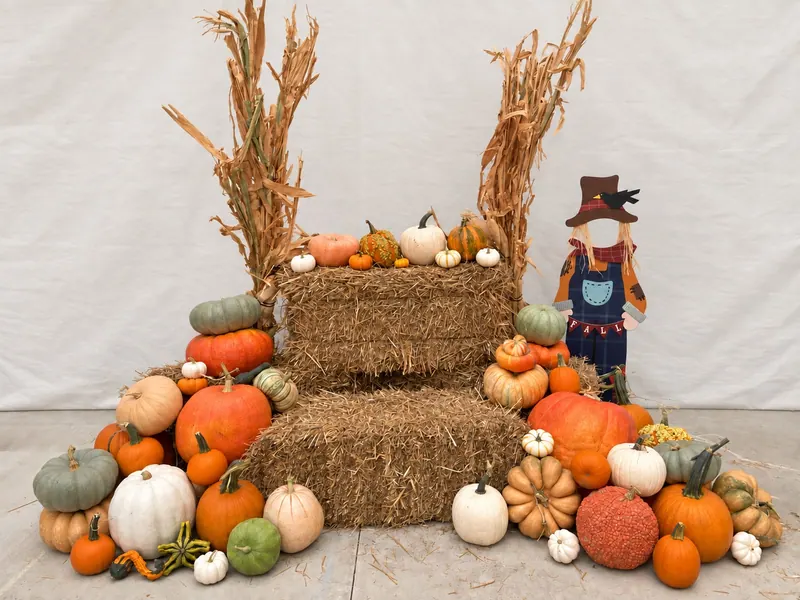 Main Street Harvest example with pumpkins, hay-bale seating, cornstalks and a scarecrow against a white backdrop